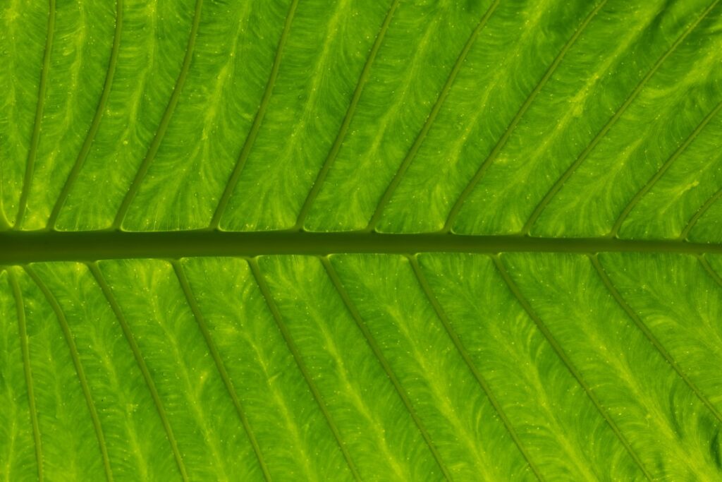 Green Pharm Iron River: The Sustainable Solution for Iron Production